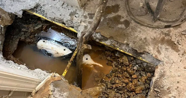 Drain Cleaning & Sewer Line Services